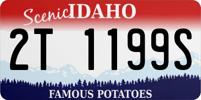 ID license plate 2T1199S