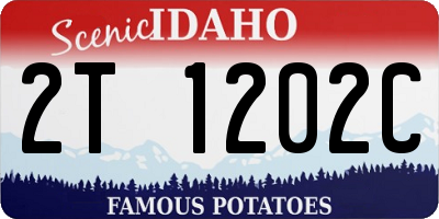 ID license plate 2T1202C
