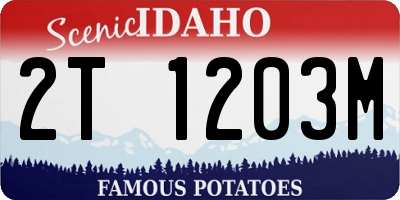 ID license plate 2T1203M