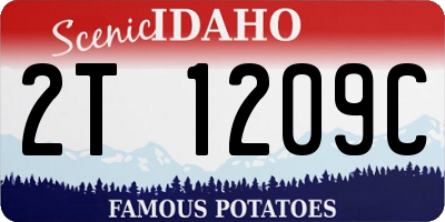 ID license plate 2T1209C