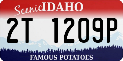 ID license plate 2T1209P