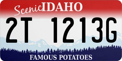 ID license plate 2T1213G