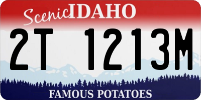 ID license plate 2T1213M