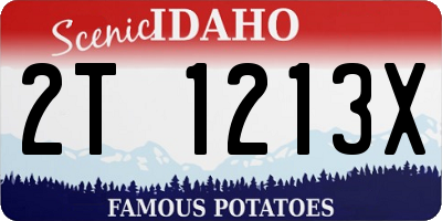 ID license plate 2T1213X