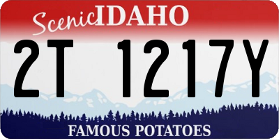 ID license plate 2T1217Y