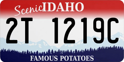 ID license plate 2T1219C