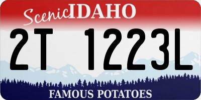 ID license plate 2T1223L