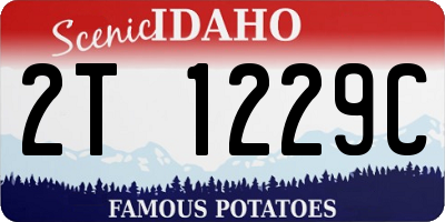 ID license plate 2T1229C