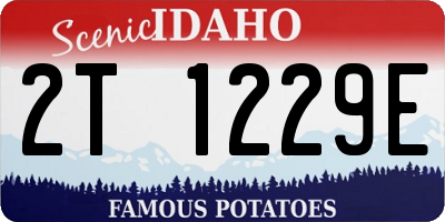 ID license plate 2T1229E