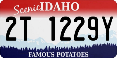 ID license plate 2T1229Y