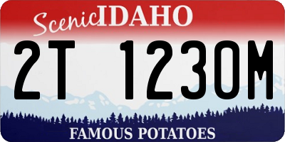 ID license plate 2T1230M