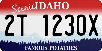 ID license plate 2T1230X