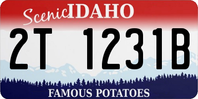 ID license plate 2T1231B