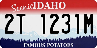ID license plate 2T1231M