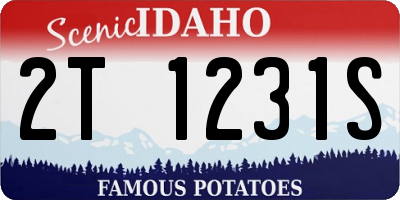 ID license plate 2T1231S