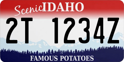 ID license plate 2T1234Z