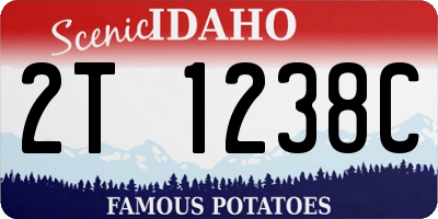 ID license plate 2T1238C