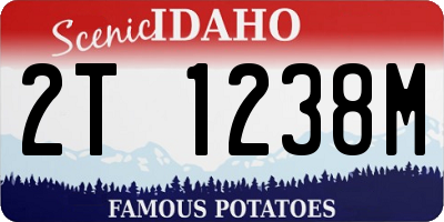 ID license plate 2T1238M