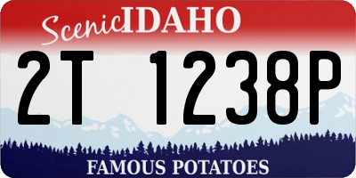 ID license plate 2T1238P