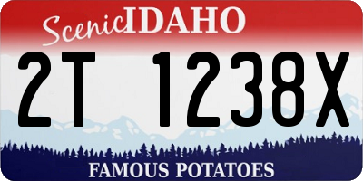 ID license plate 2T1238X