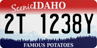 ID license plate 2T1238Y