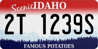 ID license plate 2T1239S