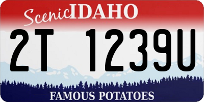 ID license plate 2T1239U