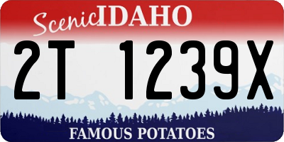 ID license plate 2T1239X