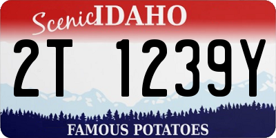 ID license plate 2T1239Y