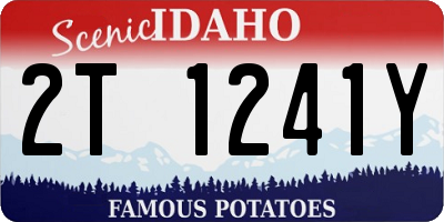 ID license plate 2T1241Y