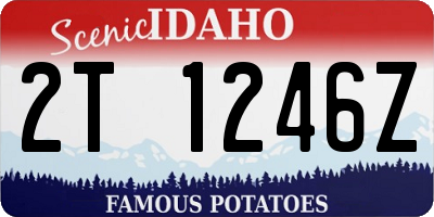 ID license plate 2T1246Z