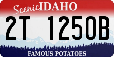 ID license plate 2T1250B