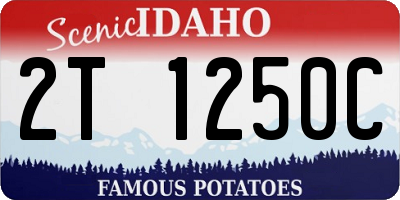 ID license plate 2T1250C