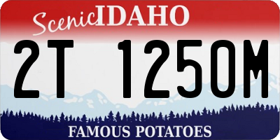 ID license plate 2T1250M