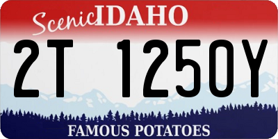 ID license plate 2T1250Y