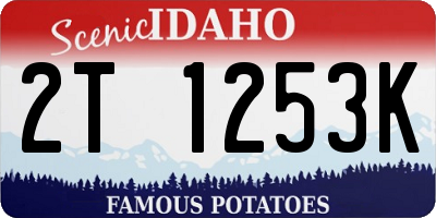 ID license plate 2T1253K