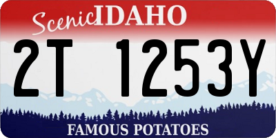 ID license plate 2T1253Y