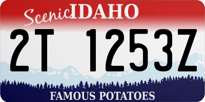 ID license plate 2T1253Z