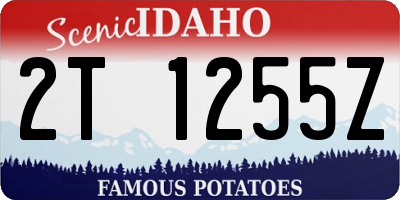 ID license plate 2T1255Z