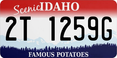 ID license plate 2T1259G