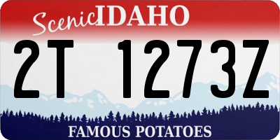 ID license plate 2T1273Z