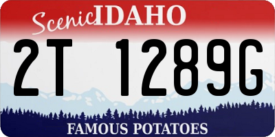 ID license plate 2T1289G