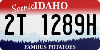 ID license plate 2T1289H