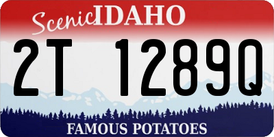 ID license plate 2T1289Q
