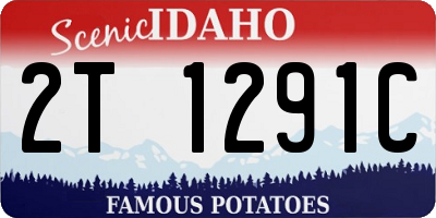 ID license plate 2T1291C