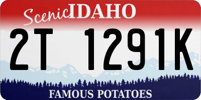 ID license plate 2T1291K