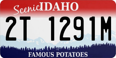 ID license plate 2T1291M