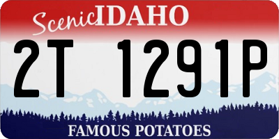 ID license plate 2T1291P