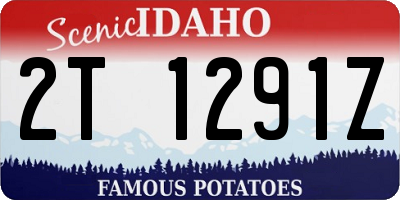 ID license plate 2T1291Z