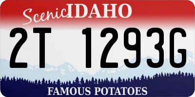 ID license plate 2T1293G